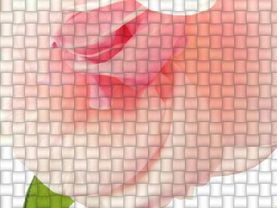 Woven Rose